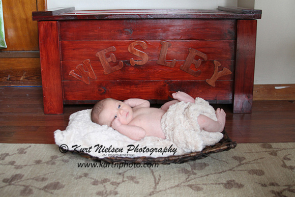 michigan-newborn-photographer