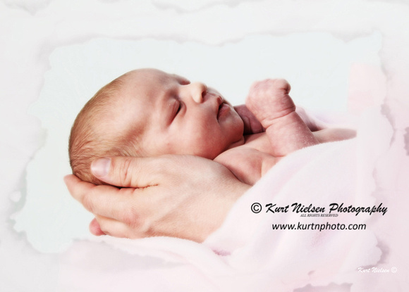 sylvania-newborn-photographer